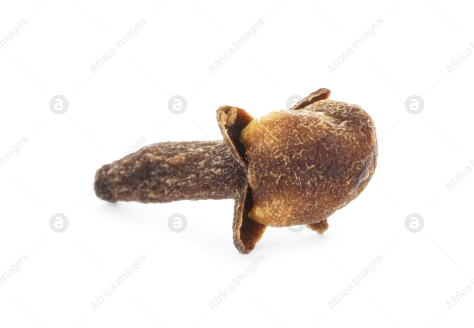 Photo of Aromatic spice. Dry clove bud isolated on white