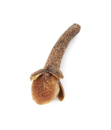 Aromatic spice. Dry clove bud isolated on white, top view