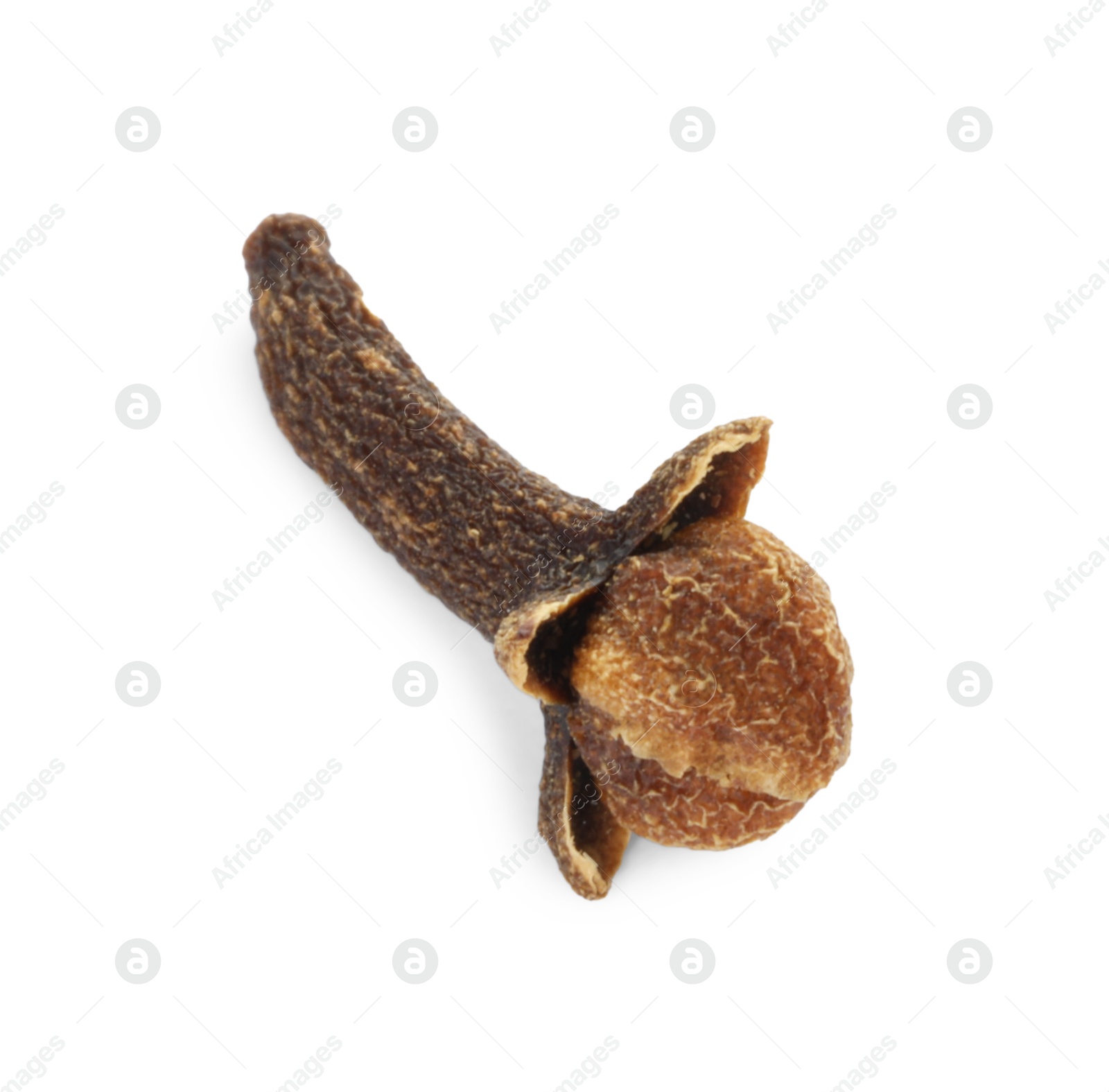 Photo of Aromatic spice. Dry clove bud isolated on white, top view