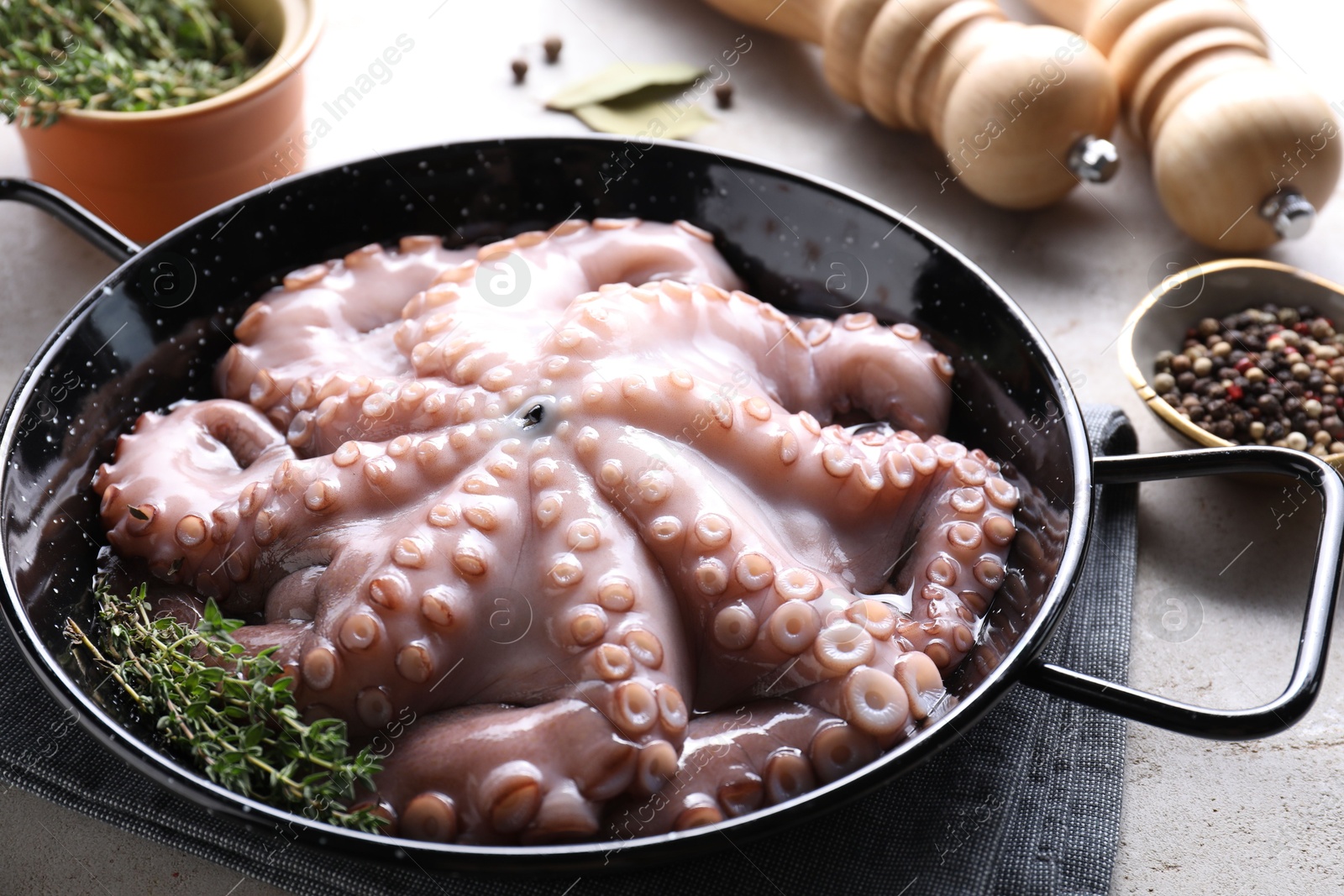 Photo of Fresh raw octopus and spices on grey table, closeup