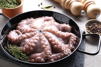 Fresh raw octopus and spices on grey table, closeup