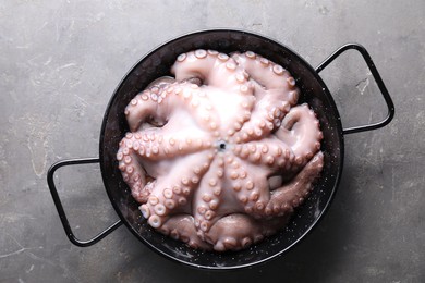 Photo of Fresh raw octopus in frying pan on grey table, top view