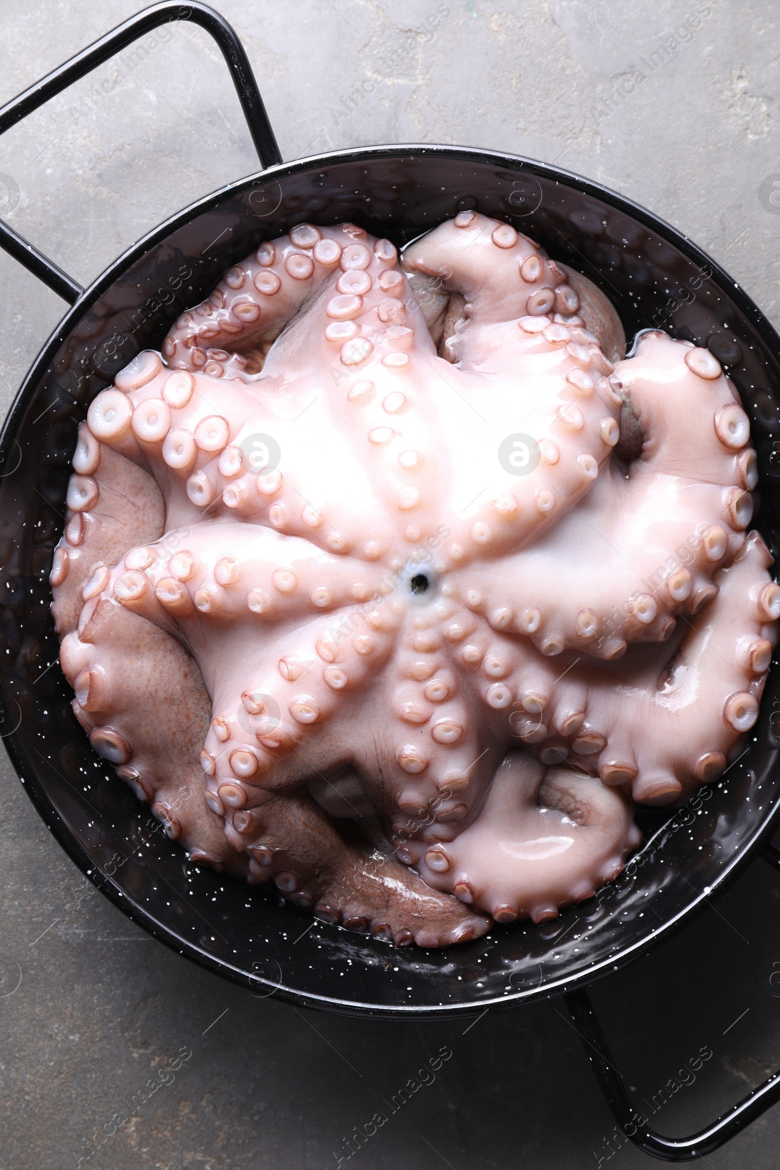 Photo of Fresh raw octopus in frying pan on grey table, top view