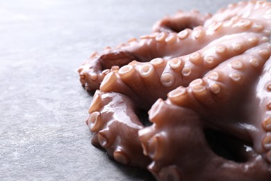 Photo of Fresh raw octopus on grey table, closeup