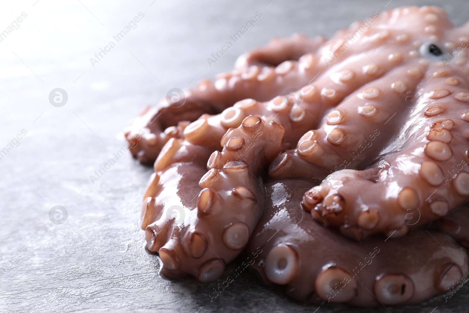 Photo of Fresh raw octopus on grey table, closeup