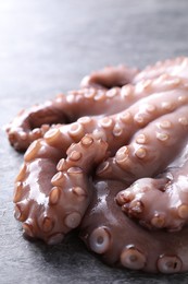 Fresh raw octopus on grey table, closeup