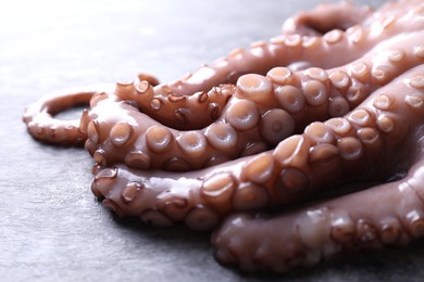 Photo of Fresh raw octopus on grey table, closeup