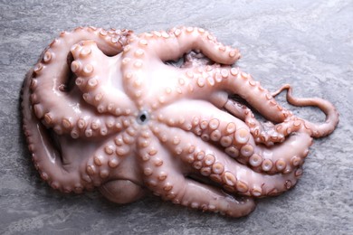 Fresh raw octopus on grey table, top view