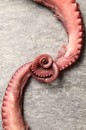 Photo of Fresh raw octopus on grey table, top view