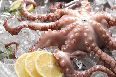 Photo of Fresh raw octopus, lemon and rosemary on ice, closeup