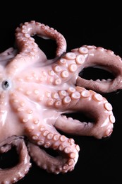 Photo of One fresh raw octopus on black background, closeup