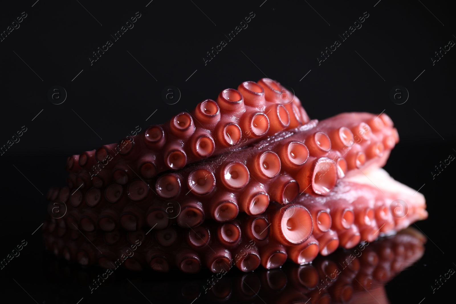 Photo of Cut fresh raw octopus on black mirror surface, closeup