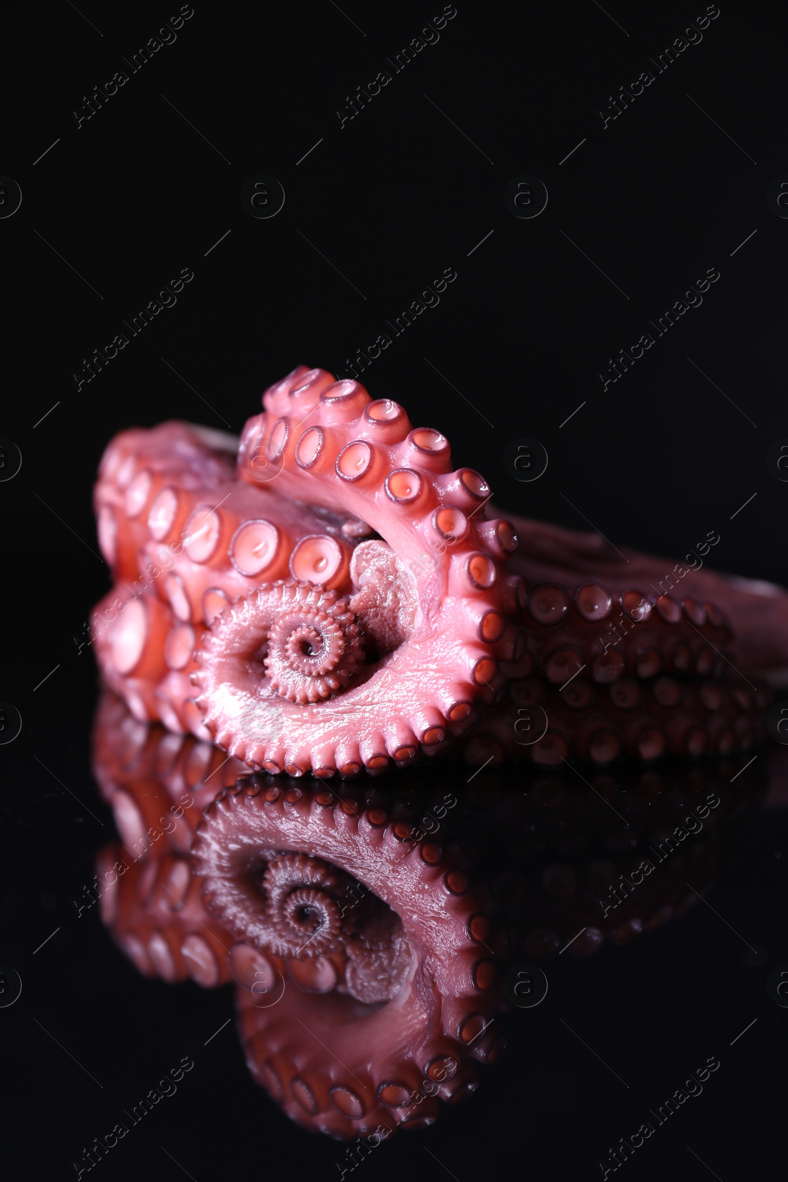 Photo of Cut fresh raw octopus on black mirror surface