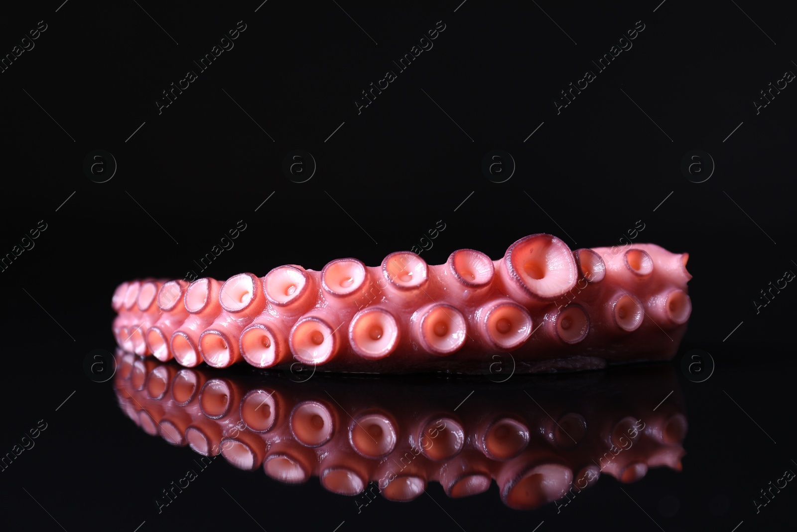 Photo of Cut fresh raw octopus on black mirror surface, closeup