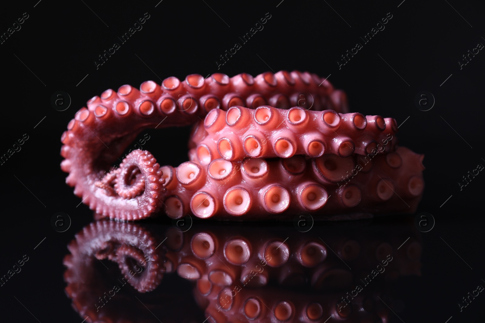 Photo of Cut fresh raw octopus on black mirror surface