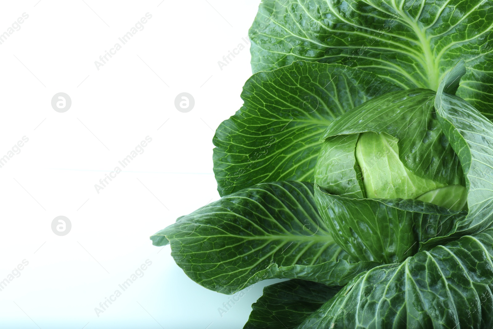 Photo of Whole ripe head of cabbage isolated on white