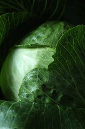 Photo of Whole ripe head of cabbage as background, closeup