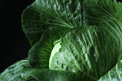 Photo of Whole ripe head of cabbage on dark background, closeup