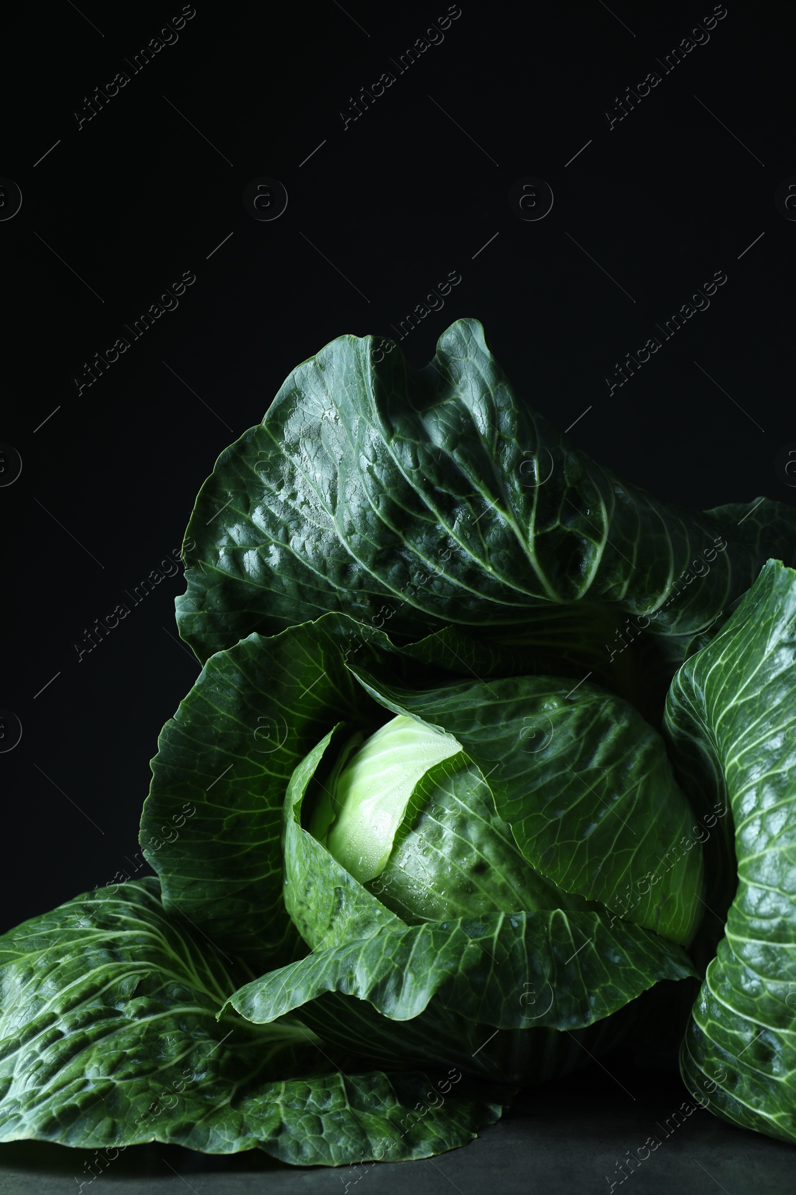 Photo of Whole ripe head of cabbage on table against dark background