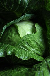 Photo of Whole ripe head of cabbage as background, closeup