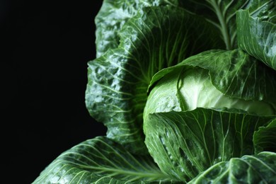 Whole ripe head of cabbage on dark background, closeup