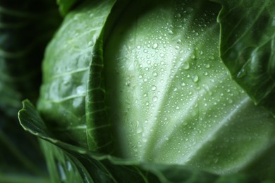 Photo of Whole ripe head of cabbage as background, closeup