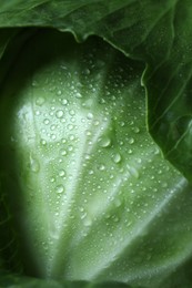 Photo of Whole ripe head of cabbage as background, closeup