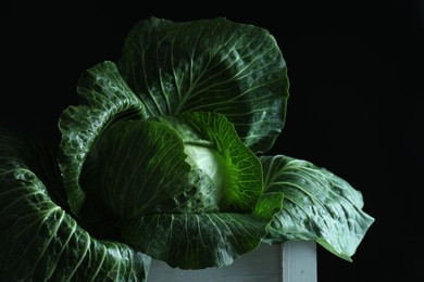 Photo of Whole ripe head of cabbage in crate on dark background