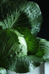 Photo of Whole ripe head of cabbage in crate on dark background, closeup