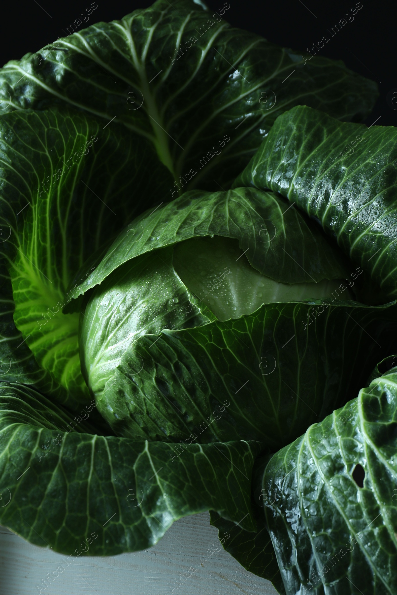 Photo of Whole ripe head of cabbage in crate on dark background, closeup