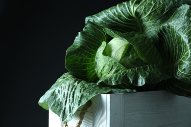 Whole ripe head of cabbage in crate on dark background, closeup