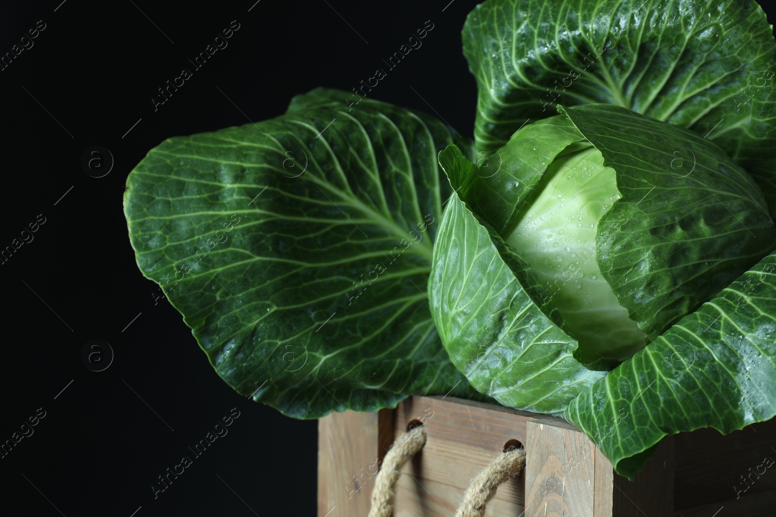 Photo of Whole ripe head of cabbage in wooden crate on dark background, closeup