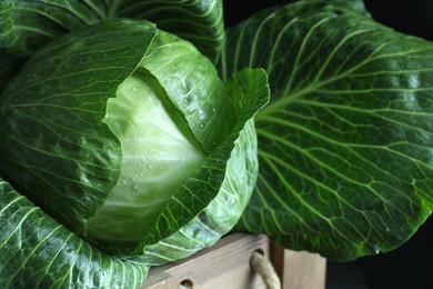 Photo of Whole ripe head of cabbage in wooden crate on dark background, closeup