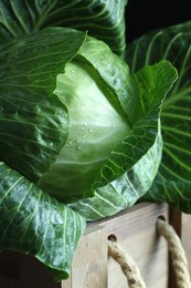 Photo of Whole ripe head of cabbage in wooden crate on dark background, closeup