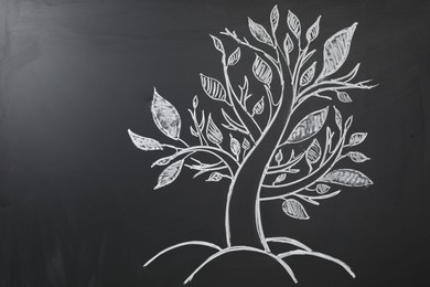 Photo of Beautiful drawing of tree on black chalkboard. Space for text