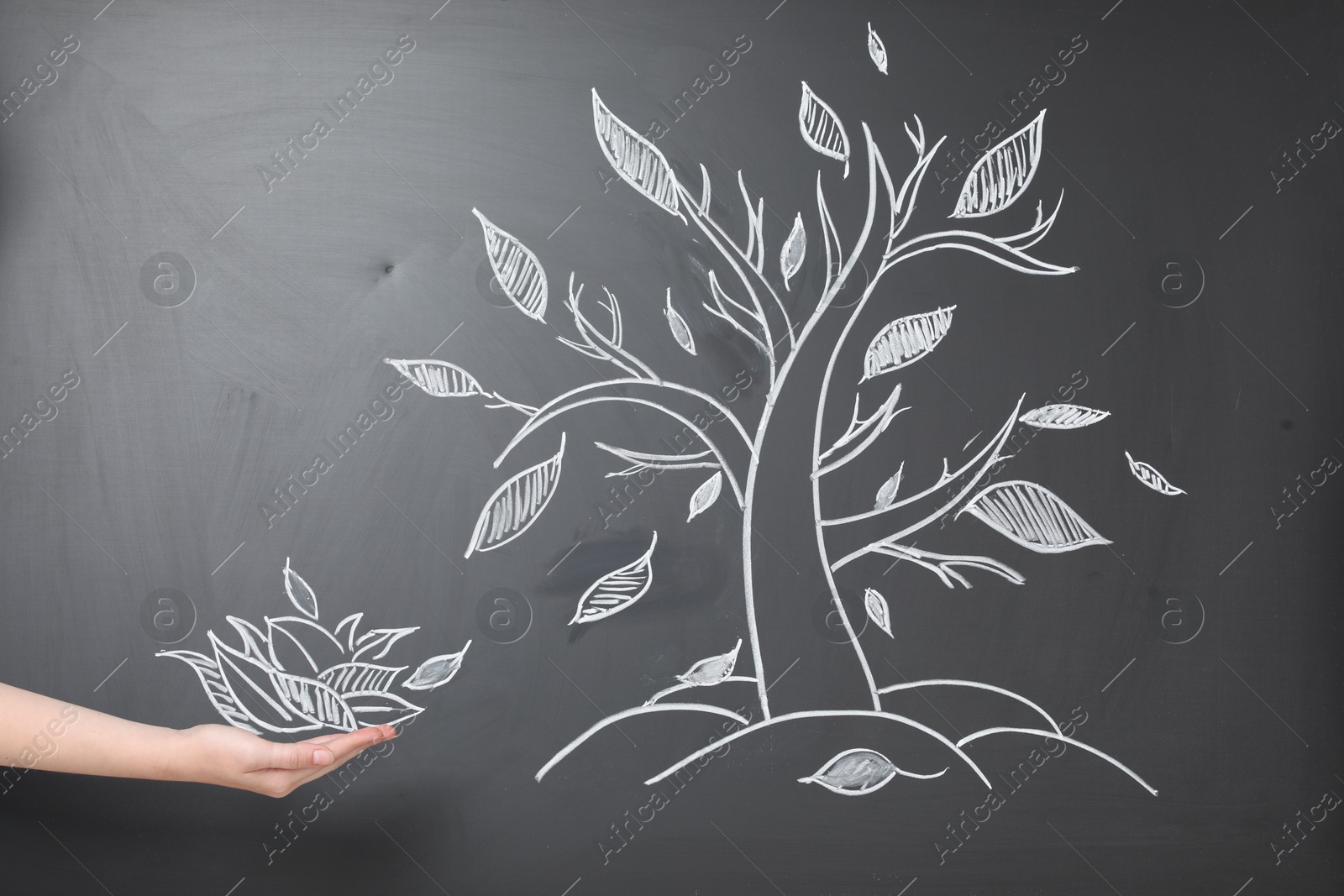 Photo of Woman pretending to catch leaves fallen from tree on chalkboard, closeup