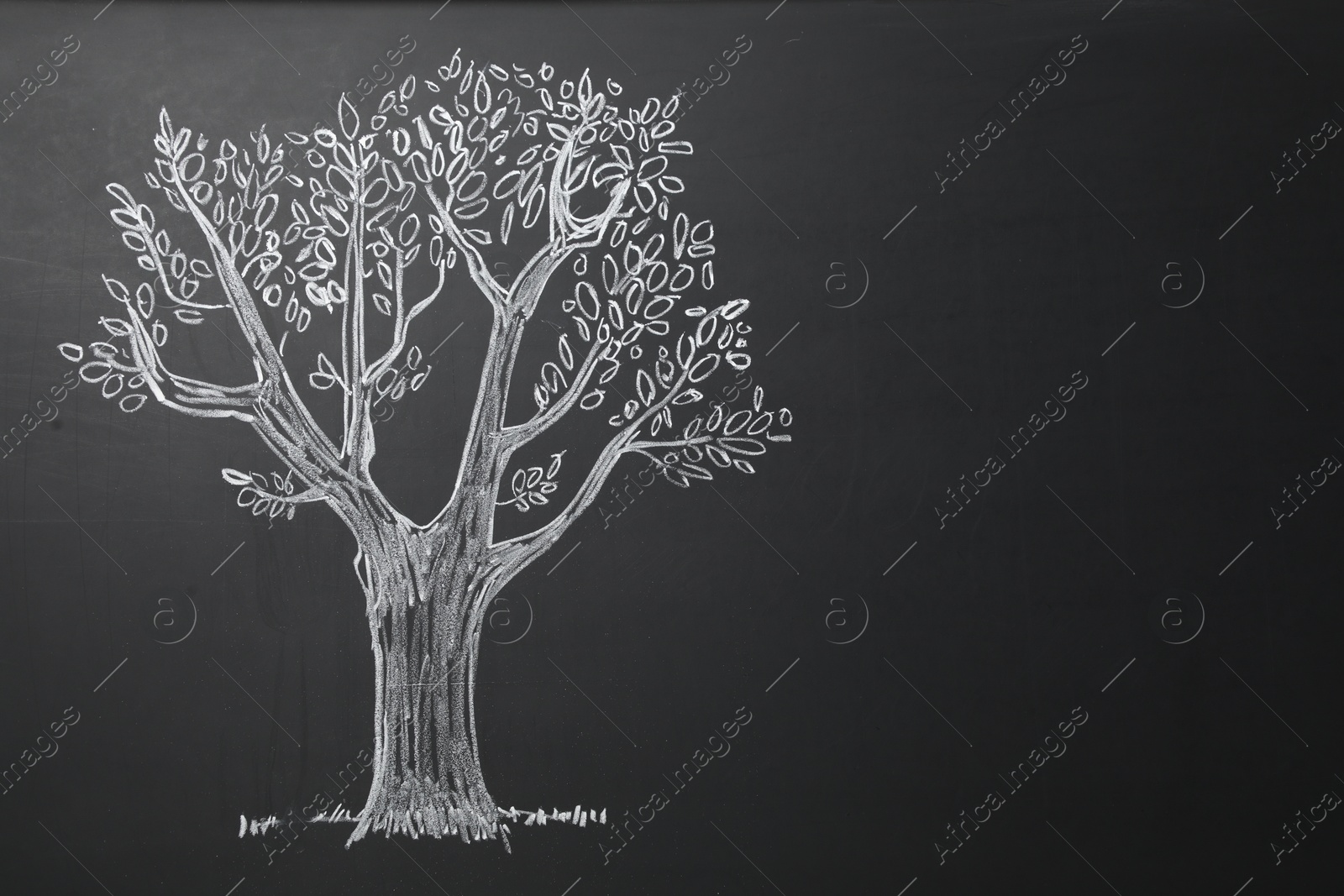 Photo of Beautiful drawing of tree on black chalkboard. Space for text