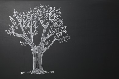 Photo of Beautiful drawing of tree on black chalkboard. Space for text