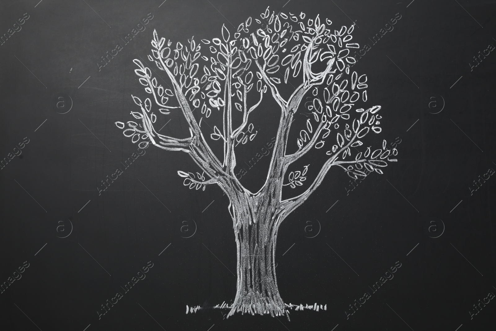 Photo of Beautiful drawing of tree on black chalkboard