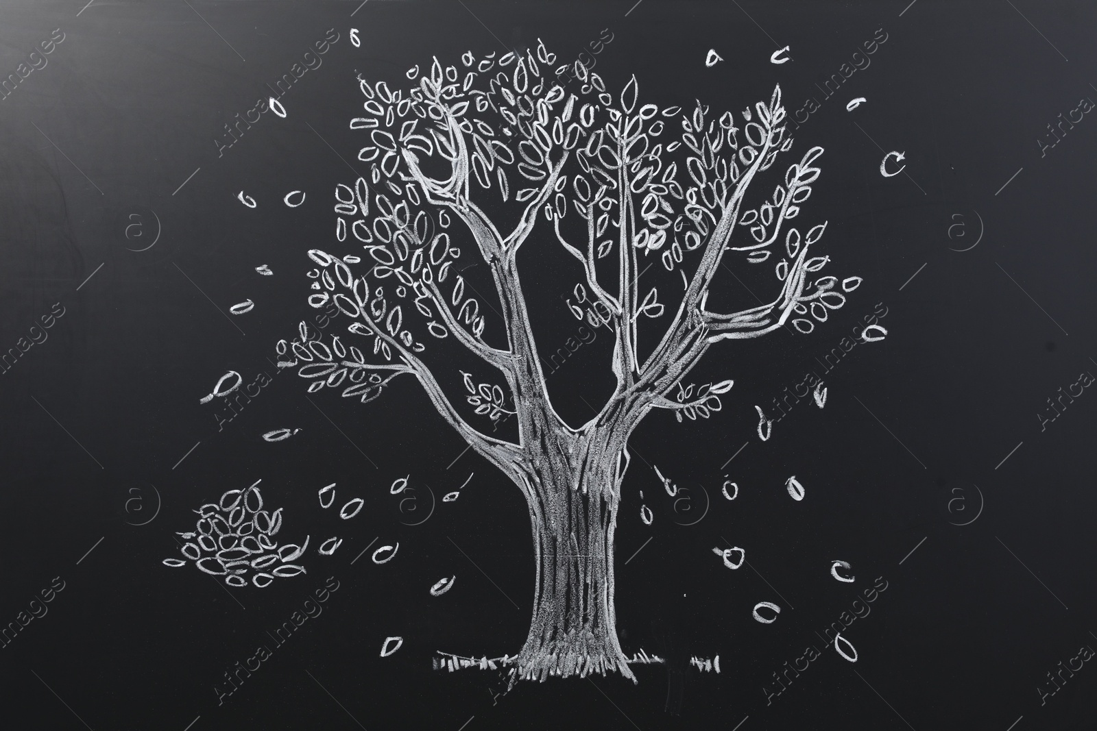 Photo of Beautiful drawing of tree on black chalkboard