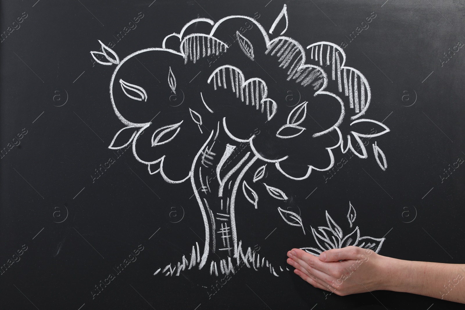 Photo of Woman pretending to catch leaves fallen from tree on chalkboard, closeup