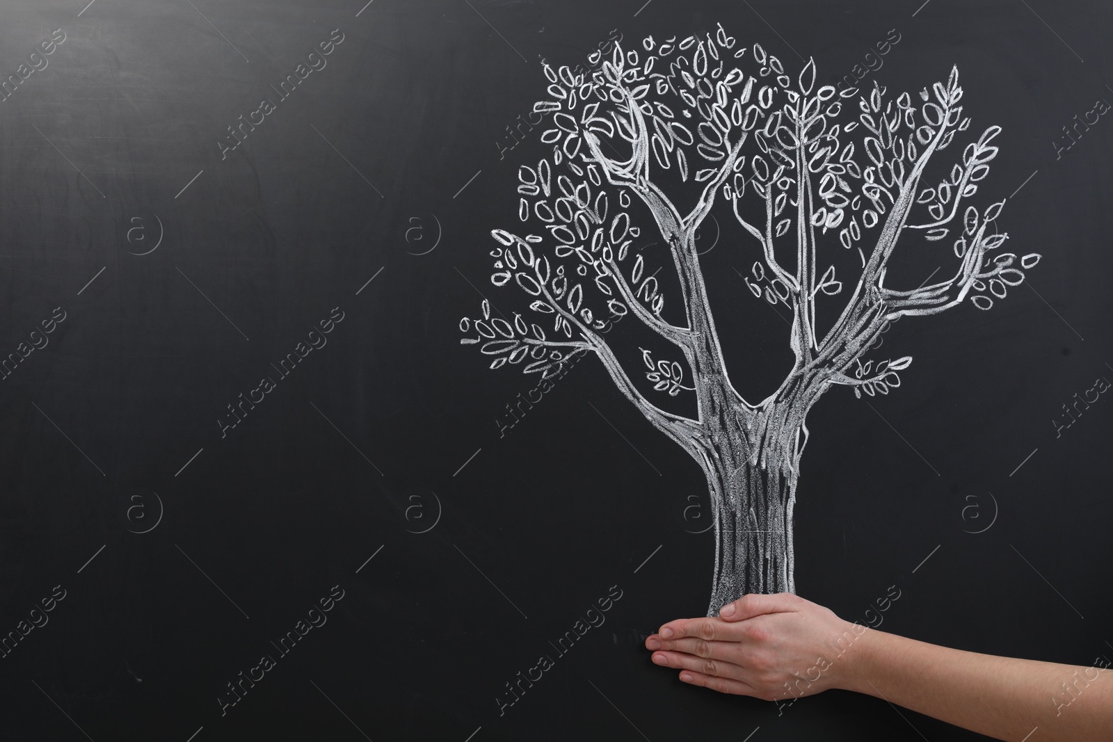 Photo of Woman pretending to hold tree drawn on chalkboard, closeup. Space for text