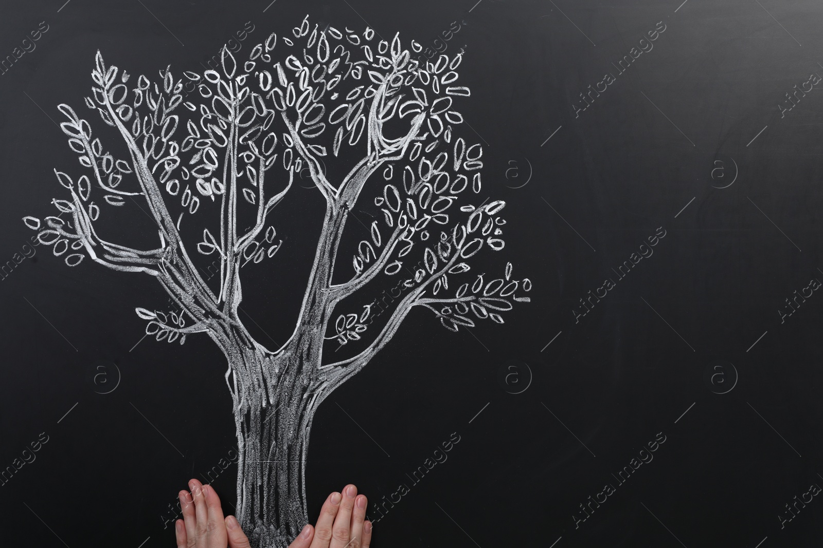 Photo of Woman pretending to hold tree drawn on chalkboard, closeup. Space for text