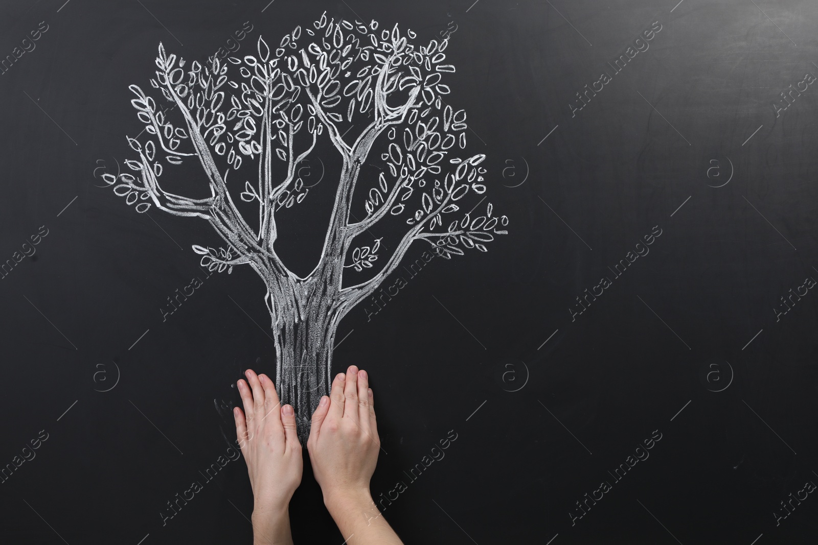 Photo of Woman pretending to hold tree drawn on chalkboard, closeup. Space for text