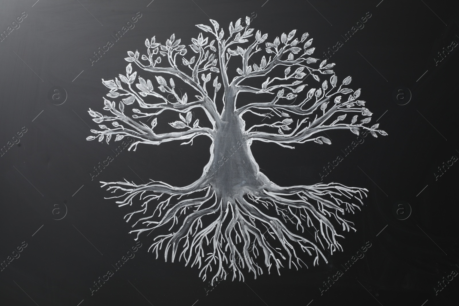 Photo of Beautiful drawing of tree on black chalkboard