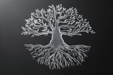 Photo of Beautiful drawing of tree on black chalkboard