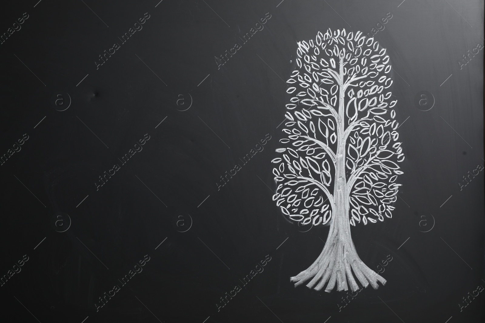 Photo of Beautiful drawing of tree on black chalkboard. Space for text