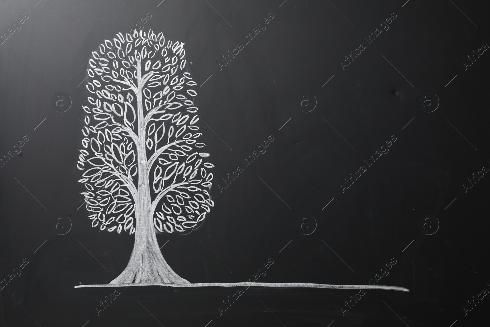 Photo of Beautiful drawing of tree on black chalkboard. Space for text