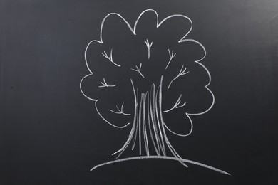 Photo of Beautiful drawing of tree on black chalkboard