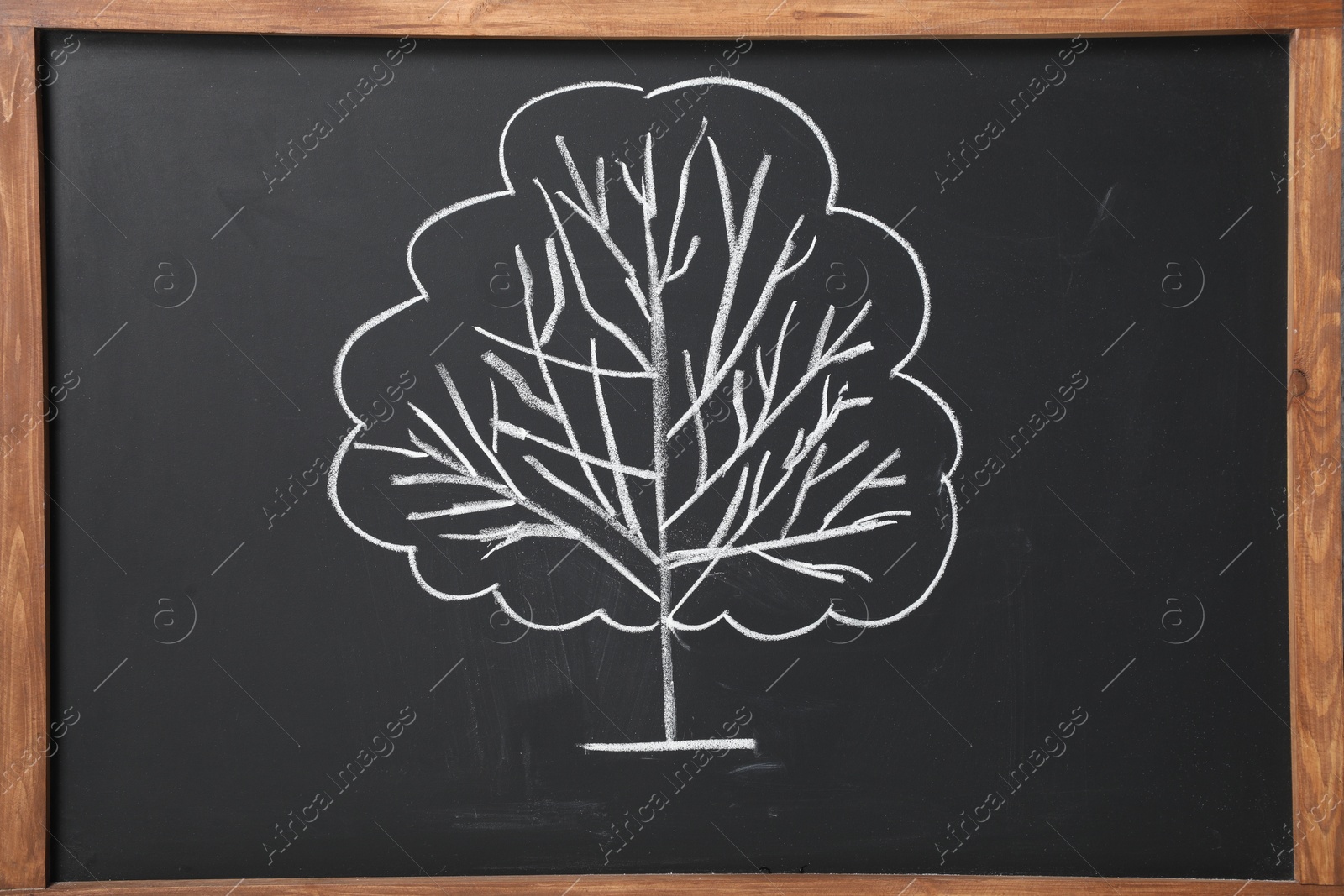 Photo of Beautiful drawing of tree on black chalkboard